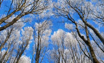 FOTO: Zasnežené Malé Karpaty očami Trnavčanov