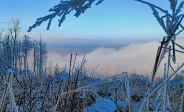 FOTO: Zasnežené Malé Karpaty očami Trnavčanov