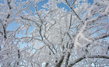 FOTO: Zasnežené Malé Karpaty očami Trnavčanov