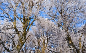 FOTO: Zasnežené Malé Karpaty očami Trnavčanov