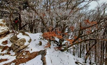 FOTO: Zasnežené Malé Karpaty očami Trnavčanov