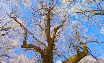 FOTO: Zasnežené Malé Karpaty očami Trnavčanov