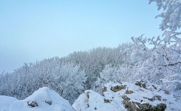 FOTO: Zasnežené Malé Karpaty očami Trnavčanov