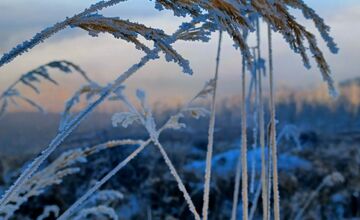 FOTO: Zasnežené Malé Karpaty očami Trnavčanov
