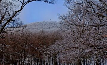 FOTO: Zasnežené Malé Karpaty očami Trnavčanov