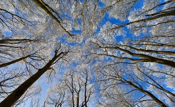 FOTO: Zasnežené Malé Karpaty očami Trnavčanov