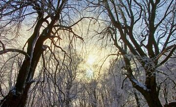 FOTO: Zasnežené Malé Karpaty očami Trnavčanov
