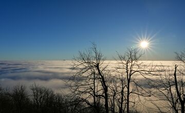 FOTO: Zasnežené Malé Karpaty očami Trnavčanov