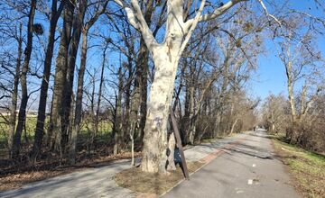 FOTO: Poškodené informačné tabule pri ceste Négyeseki