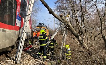 FOTO: Na trati Trnava - Kúty spadol na vlak strom, zasahovali hasiči