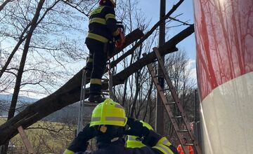 FOTO: Na trati Trnava - Kúty spadol na vlak strom, zasahovali hasiči