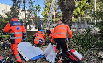 FOTO: Záchranári pomáhali mužovi, ktorý spadol zo stromu