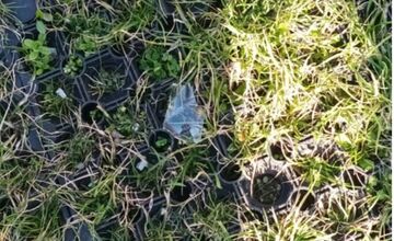 FOTO: Na detskom ihrisku v Kátlovciach deti rozbíjajú sklenené fľaše