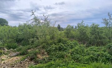 FOTO: Trnavčania apelujú na zlý stav horného rybníka