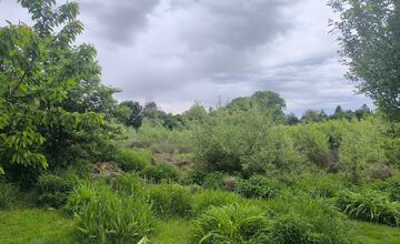 FOTO: Trnavčania apelujú na zlý stav horného rybníka