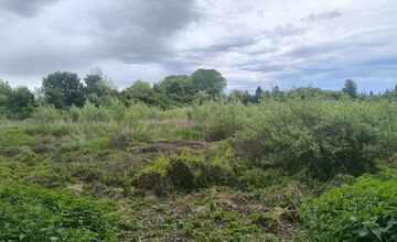 FOTO: Trnavčania apelujú na zlý stav horného rybníka