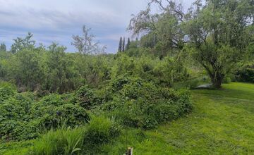 FOTO: Trnavčania apelujú na zlý stav horného rybníka