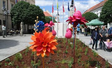 FOTO: Májový kvet 2025