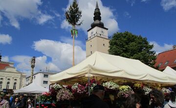 FOTO: Májový kvet 2025