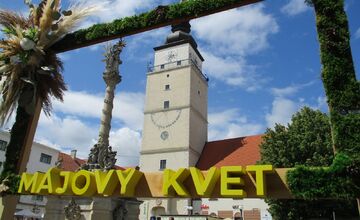 FOTO: Májový kvet 2025