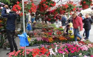 FOTO: Májový kvet 2025