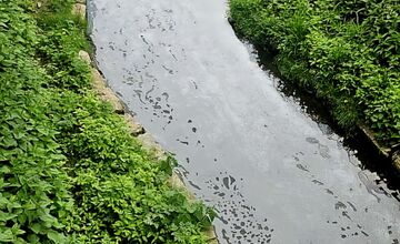 FOTO: Na rieke Trnávka sa objavila biela pena, zasahovali hasiči