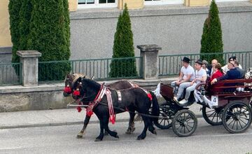 FOTO: Ulice Serede ožili tradičnou svadbou na kočoch