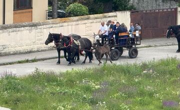 FOTO: Ulice Serede ožili tradičnou svadbou na kočoch