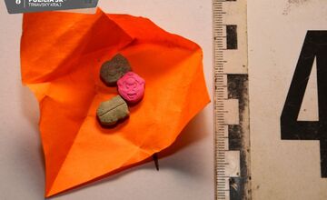 FOTO: Policajti v galantskom okrese odhalili drogový biznis, stáli za ním dve ženy