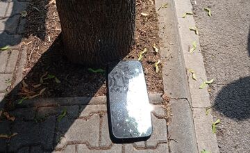 FOTO: Spadnutý strom v Piešťanoch