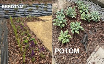 FOTO: V Hlohovci vyčíňali zlodeji, ukradli novo vysadené rastliny