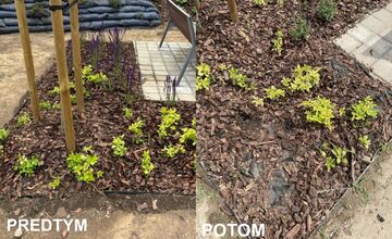 FOTO: V Hlohovci vyčíňali zlodeji, ukradli novo vysadené rastliny