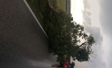 FOTO: Silný vietor spôsobuje chaos na cestách, hasiči zasahujú pri viacerých pádoch stromov