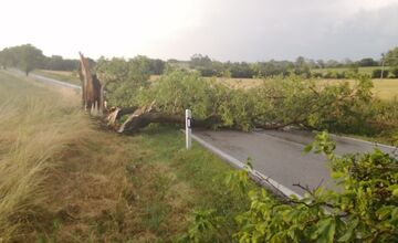 FOTO: Silný vietor spôsobuje chaos na cestách, hasiči zasahujú pri viacerých pádoch stromov