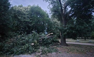 FOTO: Krajom sa prehnala silná búrka, lámala konáre a ničila strechy