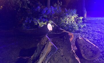 FOTO: Krajom sa prehnala silná búrka, lámala konáre a ničila strechy