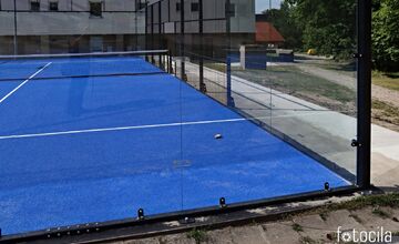 FOTO: Kvôli sklenenému oploteniu ihriska zomierajú vtáky