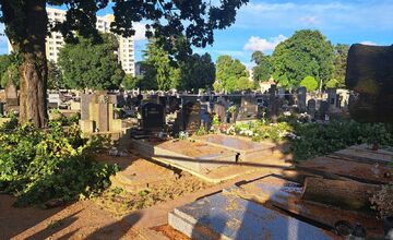 FOTO: Silný vietor napáchal škody aj na trnavskom cintoríne, popadali tam stromy