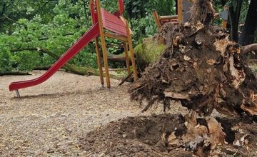 FOTO: V Piešťanoch spadol na ihrisko chorý strom