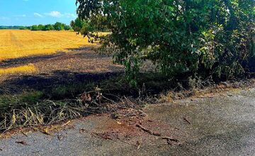 FOTO: Hasiči zlikvidovali niekoľko požiarov porastov a strnísk v Trnavskom kraji