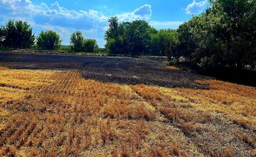 FOTO: Hasiči zlikvidovali niekoľko požiarov porastov a strnísk v Trnavskom kraji