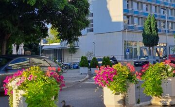 FOTO: Nečakaná, no o to krajšia návšteva v Piešťanoch - kačacia rodinka