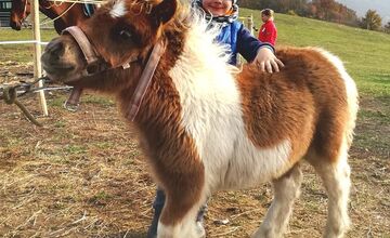 FOTO: Známy farmár Martin Bagar musel zatvoriť farmu Etelku v Prašníku