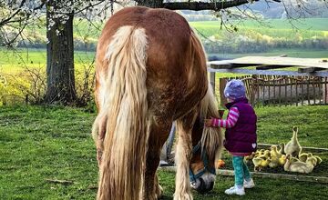 FOTO: Známy farmár Martin Bagar musel zatvoriť farmu Etelku v Prašníku