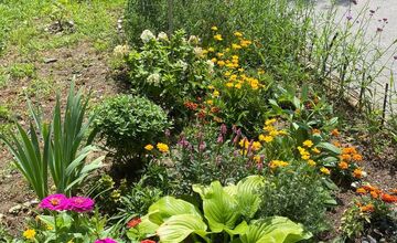FOTO: Najkrajšia predzáhradka v Trnave