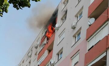 FOTO: Hasiči zachránili z bytového domu 135 osôb a jedného nečakaného obyvateľa - hada