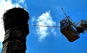 FOTO: Hasiči z Piešťan mali netradičný zásah – zachraňovali bociana