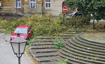 FOTO: Na Kapitulskej v Trnave padajúce stromy poškodili majetok, Trnavčania hovoria o zanedbanej zeleni
