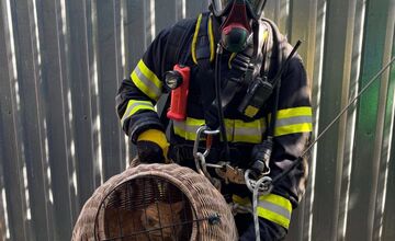 FOTO: Záchrana mačky zo studne