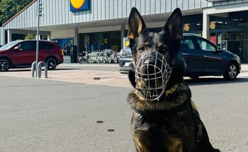 FOTO: Polícia zasiahla proti krádežiam